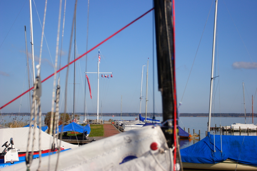 _MG_2304.JPG