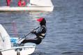 _MG_2390.JPG 876x584 358.3 KB