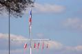 _MG_2591.JPG 876x584 272.1 KB