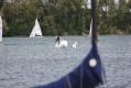_MG_3905.JPG 1000x667 138.6 KB